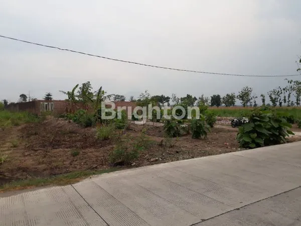 image TANAH RAYA PETERONGAN BANGSAL (3)