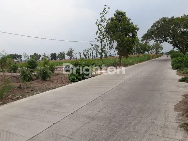 image TANAH RAYA PETERONGAN BANGSAL (4)