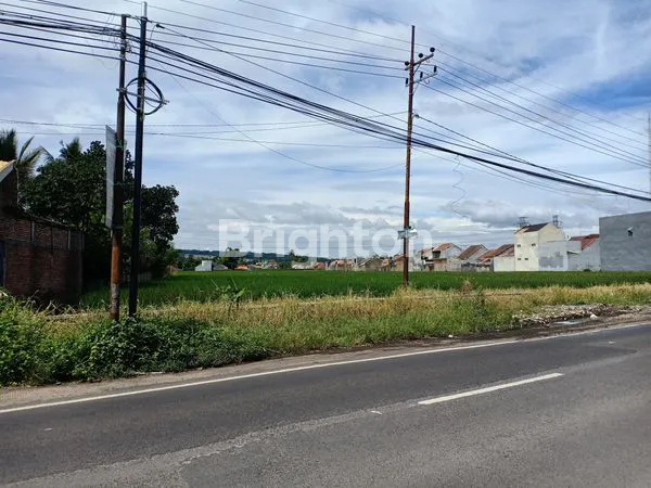 image DIJUAL TANAH DI PINGGIR JALAN BESAR  PAKIS MALANG (2)