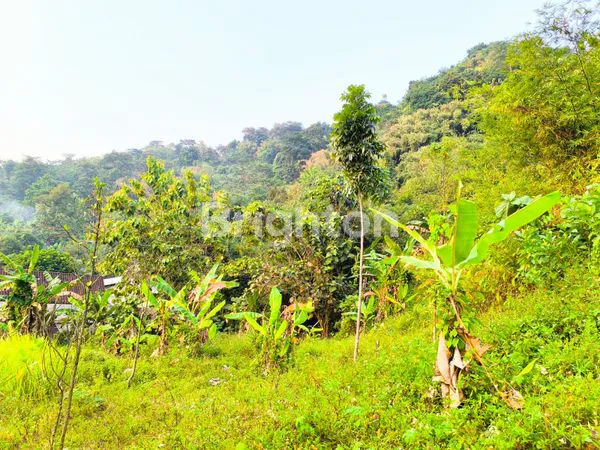 TANAH INVESTASI DI BAWAH HARGA NJOP, SRONDOL KULON