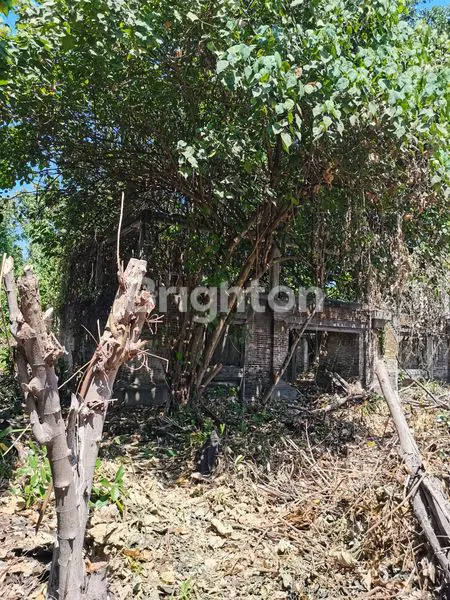 image TANAH SUPER STRATEGIS DI DANAU TAMBLINGAN  (2)