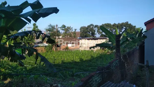 image TANAH BONUS BANGUNAN, STRATEGIS DI POROS JALAN RAYA KARANGPLOSO MALANG (7)