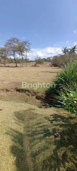 image TANAH SIAP BANGUN DI TEPI SABA BEACH (3)