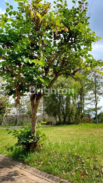 image DIJUAL TANAH VIEW LAPANGAN GOLF ARAYA MALANG (6)