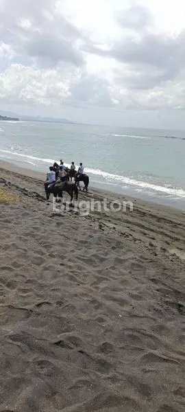 image TANAH SIAP BANGUN DITEPI SABA BEACH (2)