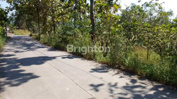 image TANAH MURAH DI DESA WISATA VIEW SUNGAI TUNTANG SAMBIREJO BERINGIN (2)