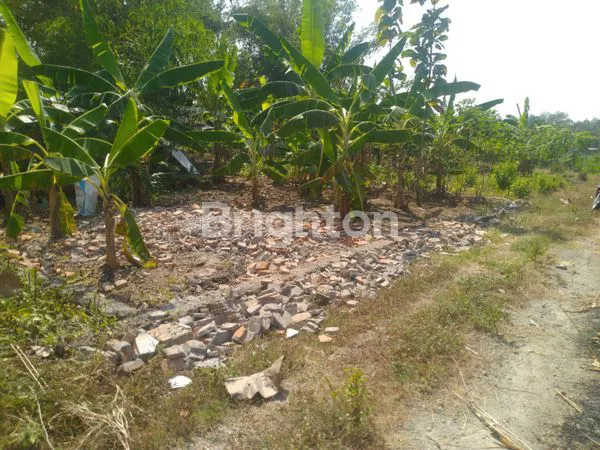 image TANAH MURAH SIAP BANGUN DI TAWENGAN SAMBI (8)