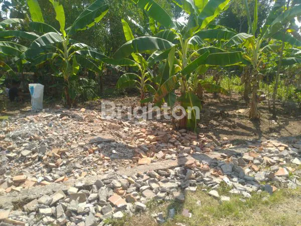 image TANAH MURAH SIAP BANGUN DI TAWENGAN SAMBI (4)