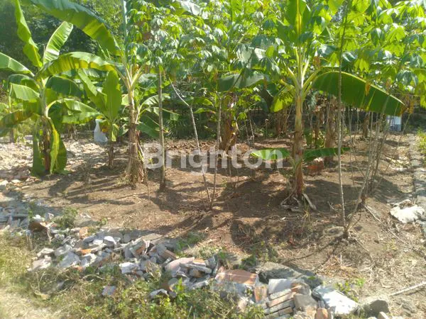 image TANAH MURAH SIAP BANGUN DI TAWENGAN SAMBI (5)