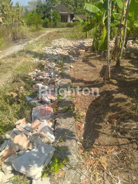 image TANAH MURAH SIAP BANGUN DI TAWENGAN SAMBI (6)