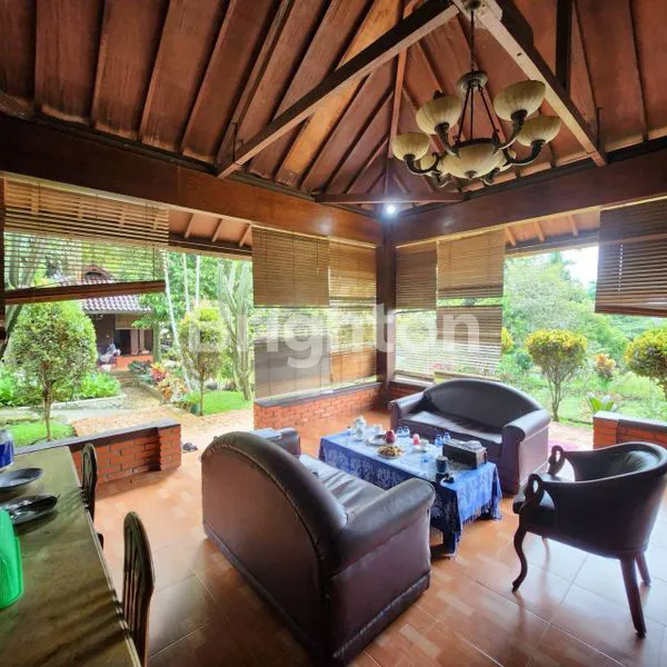 image VILLA DI MEGAMENDUNG PUNCAK BOGOR (3)