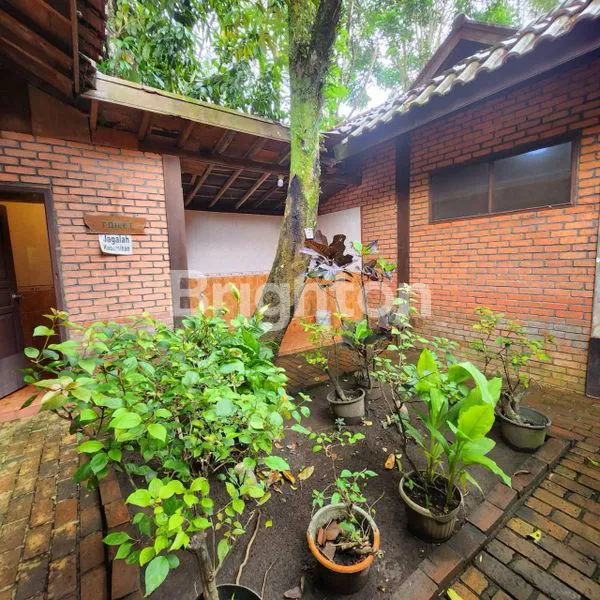 image VILLA DI MEGAMENDUNG PUNCAK BOGOR (8)