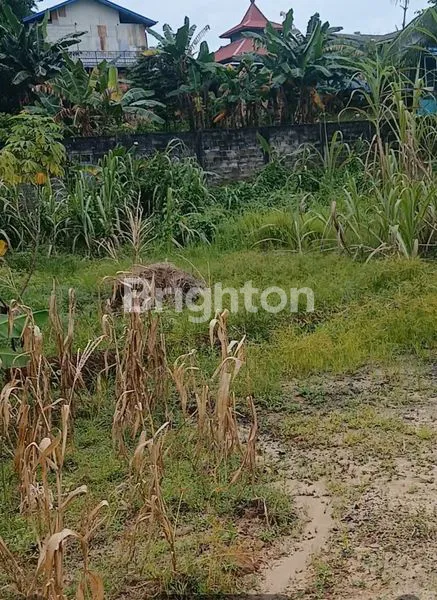 image TANAH DATAR CANTIK SUDAH PAGAR KELILING COCOK UNTUK BENGKEL ATAU PERUMAHAN DI JALAN MUKMIN FAIZAL. (3)