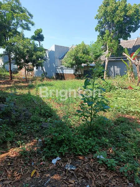 image TANAH TEMBALANG COCOK UNTUK KOST (1)