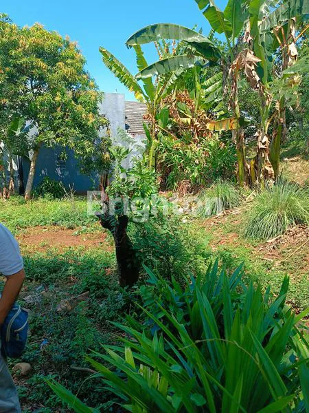 image TANAH TEMBALANG COCOK UNTUK KOST (4)