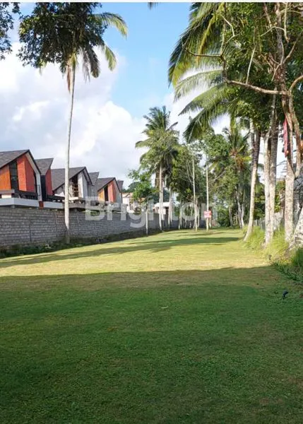 image TANAH PREMIUM KEDEWATAN UBUD (5)