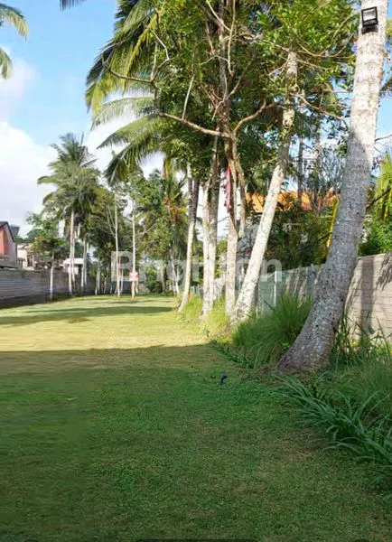 image TANAH PREMIUM KEDEWATAN UBUD (4)