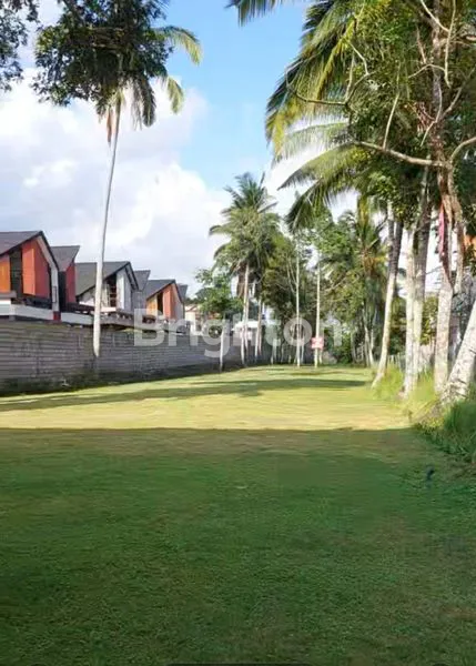 image TANAH PREMIUM KEDEWATAN UBUD (6)