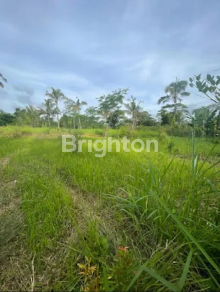 image FREEHOLD LAND PLOT IN UBUD TEGALALANG (2)