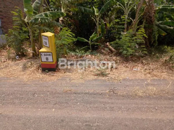 image DIJUAL TANAH JALAN RAYA PERAK JOMBANG (1)