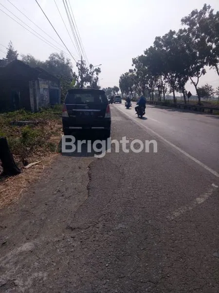image DIJUAL TANAH JALAN RAYA PERAK JOMBANG (2)