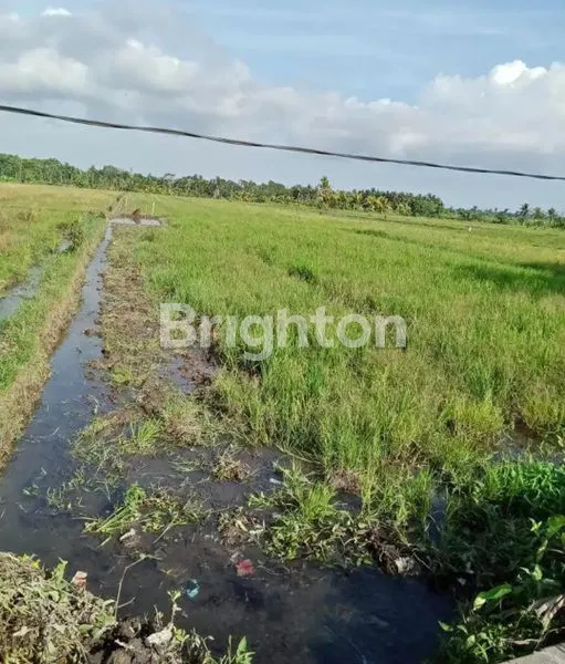 TANAH 20 ARE GULINGAN MENGWI