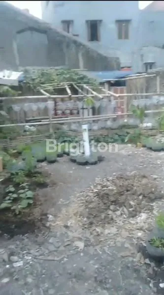 image TANAH DIJUAL (1)