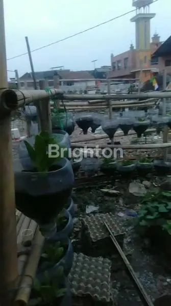 image TANAH DIJUAL (2)