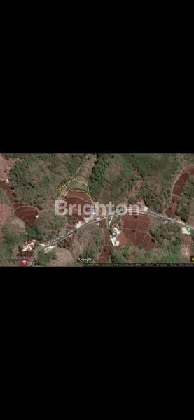 TANAH KEBUN JATI DI TEPI JL. PANTAI SELATAN JOGJA