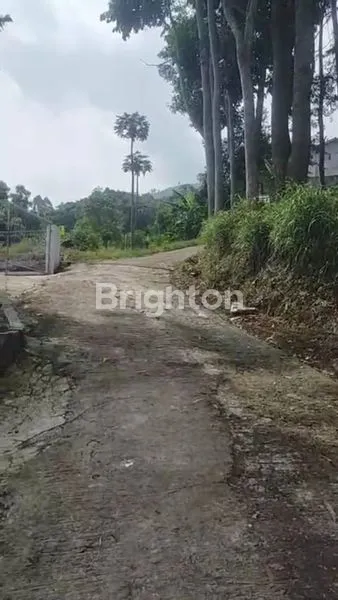 image LAHAN DAERAH BANDUNG (1)