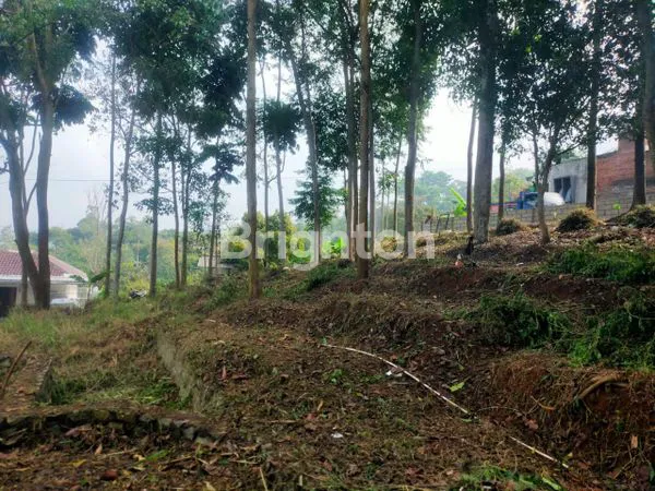 image LAHAN DAERAH BANDUNG (2)