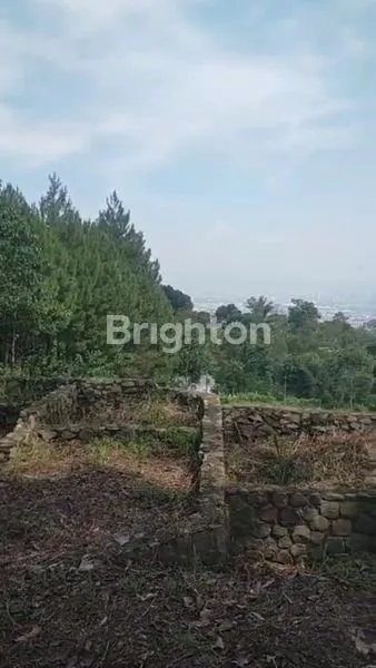 image LAHAN DAERAH BANDUNG (4)