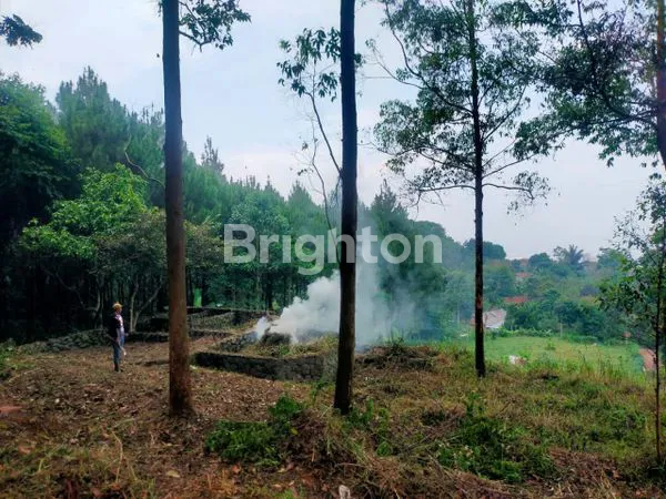 image LAHAN DAERAH BANDUNG (3)