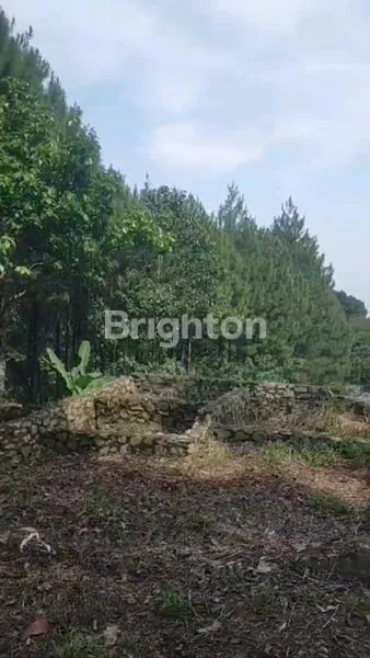 image LAHAN DAERAH BANDUNG (5)