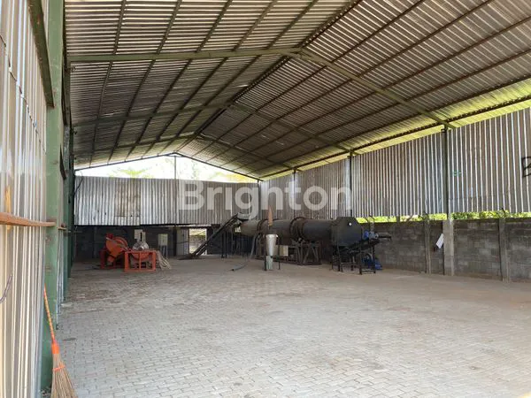 image GUDANG DI WONOREJO PASURUAN (4)