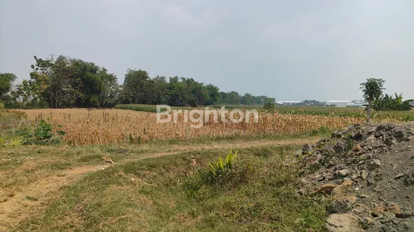 image TANAH ZONA INDUSTRI UNTUK BANGUN PABRIK INDUSTRI BERAT (3)