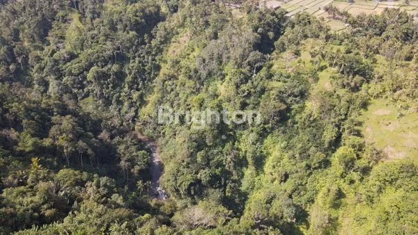 image TANAH 1 HEKTAR VIEW SUNGAI KAWASAN UBUD (2)