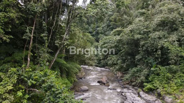 image TANAH 1 HEKTAR VIEW SUNGAI KAWASAN UBUD (3)