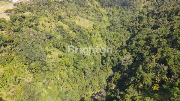 image TANAH 1 HEKTAR VIEW SUNGAI KAWASAN UBUD (4)