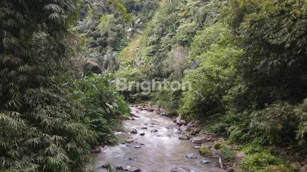 image TANAH 1 HEKTAR VIEW SUNGAI KAWASAN UBUD (5)
