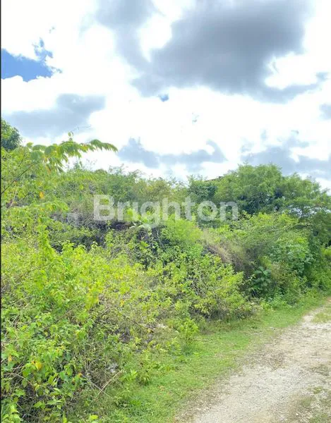 image BUC TANAH KOSONG JIMBARAN PLOT KECIL (5)