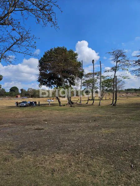 image TANAH VIEW PANTAI DI PANTAI PERING (3)