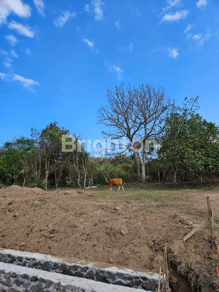 image TANAH VIEW PANTAI DI PANTAI PERING (8)