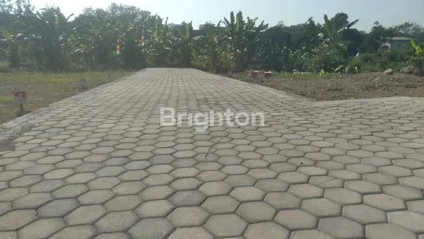 image TANAH KAVLINGAN, STRATEGIS, SIAP BANGUN DI TEMBALANG DEKAT UNDIP (3)