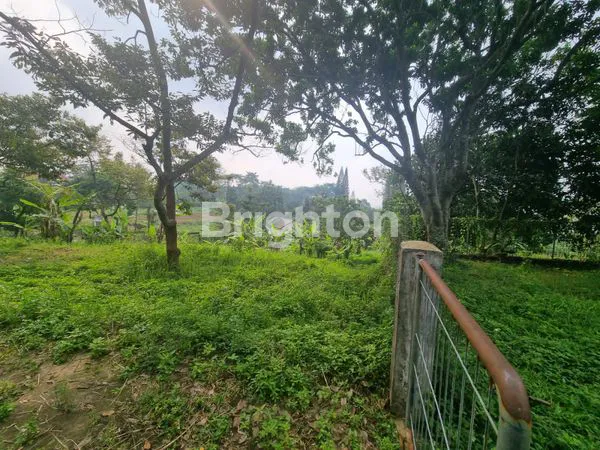 image RAYA TRAWAS PAHLAWAN MURAH (4)