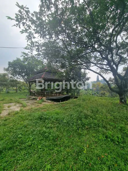 image RAYA TRAWAS PAHLAWAN MURAH (6)