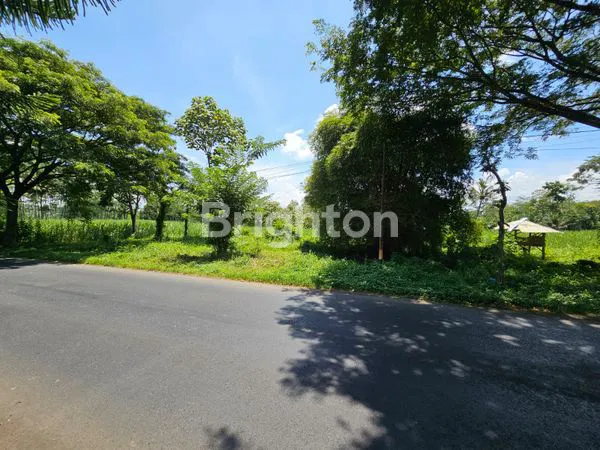 image TANAH KAVLING PINGGIR JALAN,DEPAN AYAM GORENG JOGJA JALIBAR KEPANJEN (2)