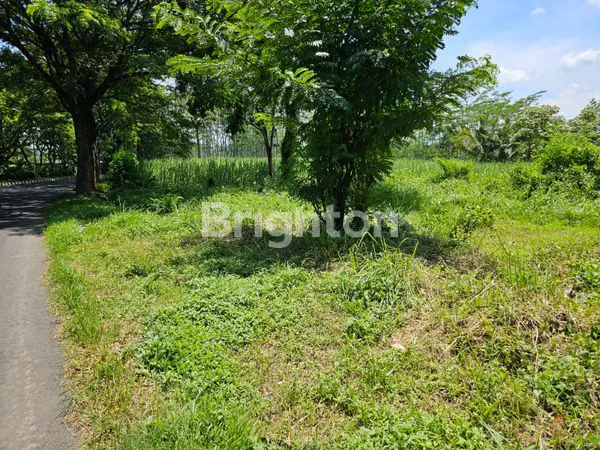 image TANAH KAVLING PINGGIR JALAN,DEPAN AYAM GORENG JOGJA JALIBAR KEPANJEN (3)