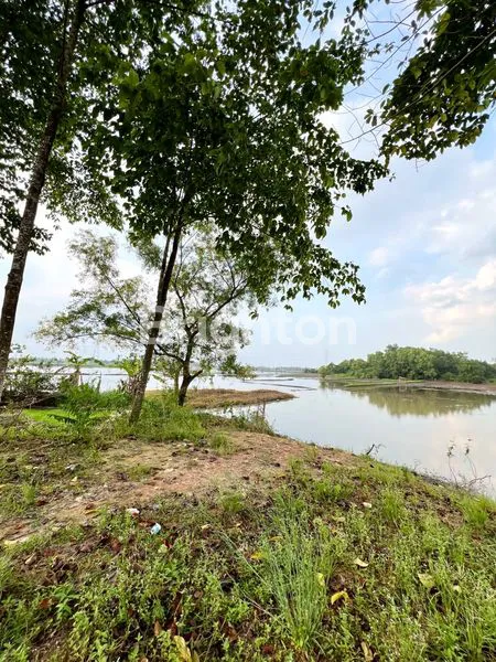 image TANAH PREMIUM LOKASI STRATEGIS DI DEKAT GERBANG TOL PALINDRA KERTAPATI PALEMBANG (8)