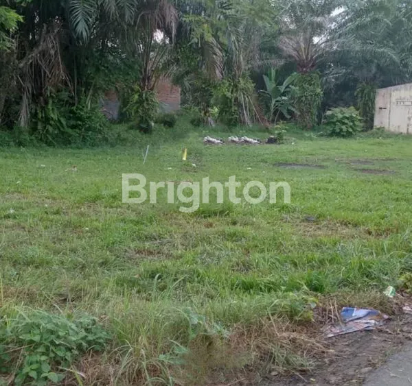 image TANAH LUAS COCOK BANGUN RUMAH IMPIAN DI BINJAI (5)